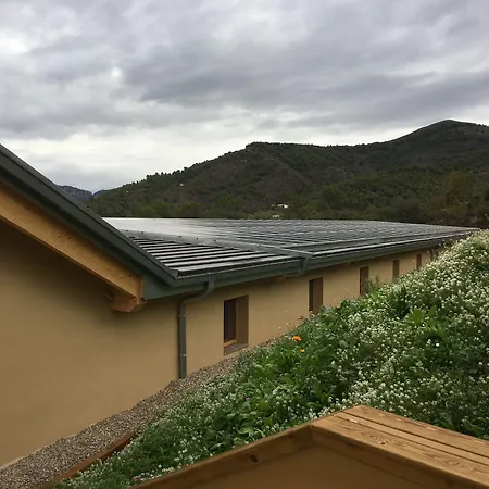 ホテル Mar De Fulles Alfondeguilla