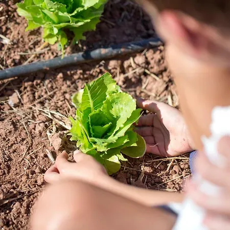 ホテル Mar De Fulles