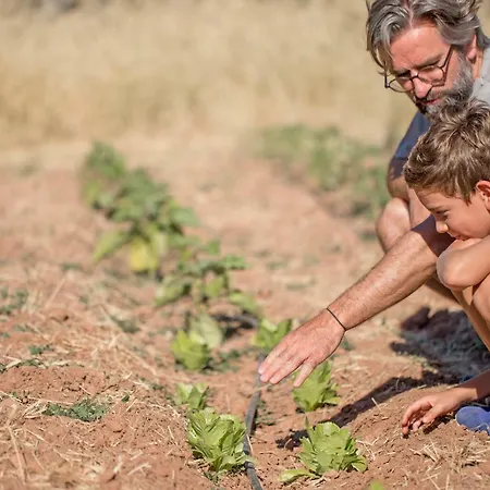 Mar De Fulles 4* Alfondeguilla