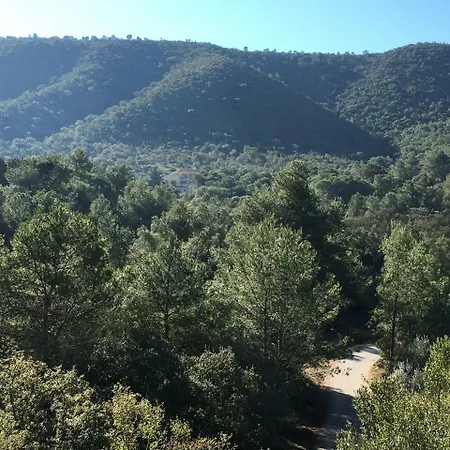 Hotel Mar De Fulles Alfondeguilla