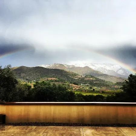 Mar De Fulles 4* Alfondeguilla