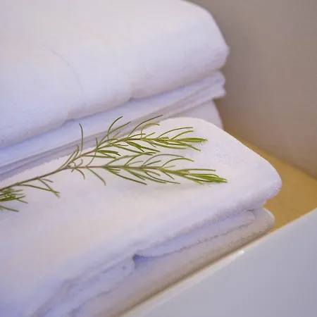 Mar De Fulles Hotel Alfondeguilla